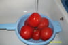 Tomates aux oeufs en cocotte : Etape 1