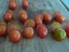 Sucettes tomate fraicheur : Etape 1
