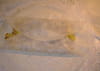 Strudel aux pommes : Etape 4