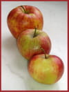 Pommes caram�lis�es et sp�culoos fa�on trifle : Etape 1