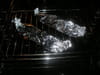 Papillote de poisson et sa pur�e de chou : Etape 2