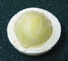 Boule glac�e de No�l : Etape 4