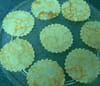 Tuiles de cr�pes : Etape 3
