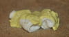 Roul�s de sole coco-curry en aum�ni�re de sarrasin : Etape 5