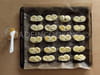 Les palmiers maison : Etape 4