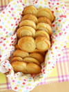 Les palmiers maison : Etape 5