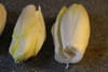 Endives - chicons caram�lis�s  : Etape 1