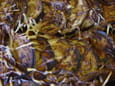 Moussaka express