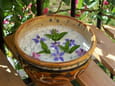 Tzatziki