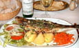 Bar � la mode de Lisbonne