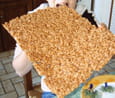 Oeufs de fourmis