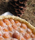 Tarte abricot-coco