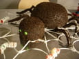 Horrible araign�e d Halloween