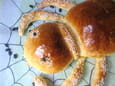 SpiderPain surprise