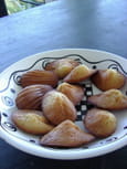 Madeleines