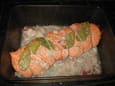 R�ti de poisson