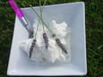 Glace � la lavande du  jardin