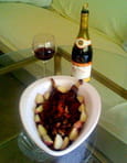 Coq au vin