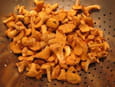 Girolles po�l�es