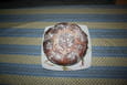 Brioche buchty