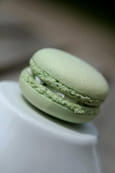 Macarons ch�vre-ciboulette