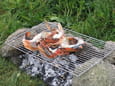 Homard grill� sauce whisky