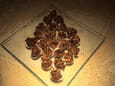 Roses des sables