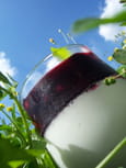 Panna cotta coco