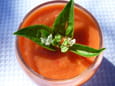 Gaspacho