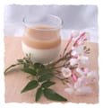 Panna cotta jasmin litchi