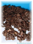 Roses des sables