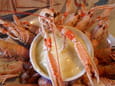Langoustines et mayonnaise mont�e � la cuill�re