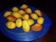 Madeleines de grand-m�re