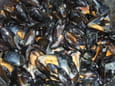 Moules � la cr�me