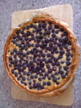 Tarte aux m�res sauvages