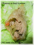 Samoussas au boeuf et poivrons