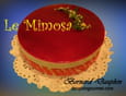Le mimosa