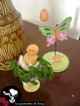 Poussin mimosa