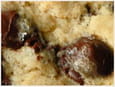 Cookies au chocolat