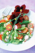 Pousses d��pinards aux l�gumes confits