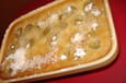 Flan aux raisins