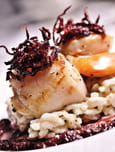 Noix de Saint-Jacques r�ties, risotto au coulis de betteraves et sauce � l orange