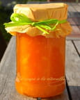 Marmelade de potiron aux pommes et aux agrumes