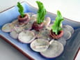 Salade de navets nouveaux aux anchois