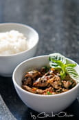 B�uf Angus piquant au basilic tha�