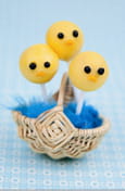 Pop poussins