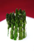 Charlotte de ch�vre frais aux pointes d�asperges vertes