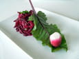 Betteraves rouges et radis roses