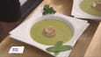 Coquille Saint Jacques sur sa nage verte