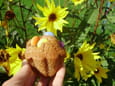 Muffins aux smarties et aux 4 �pices